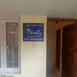 spa in Indirangar Bangalore - wolly